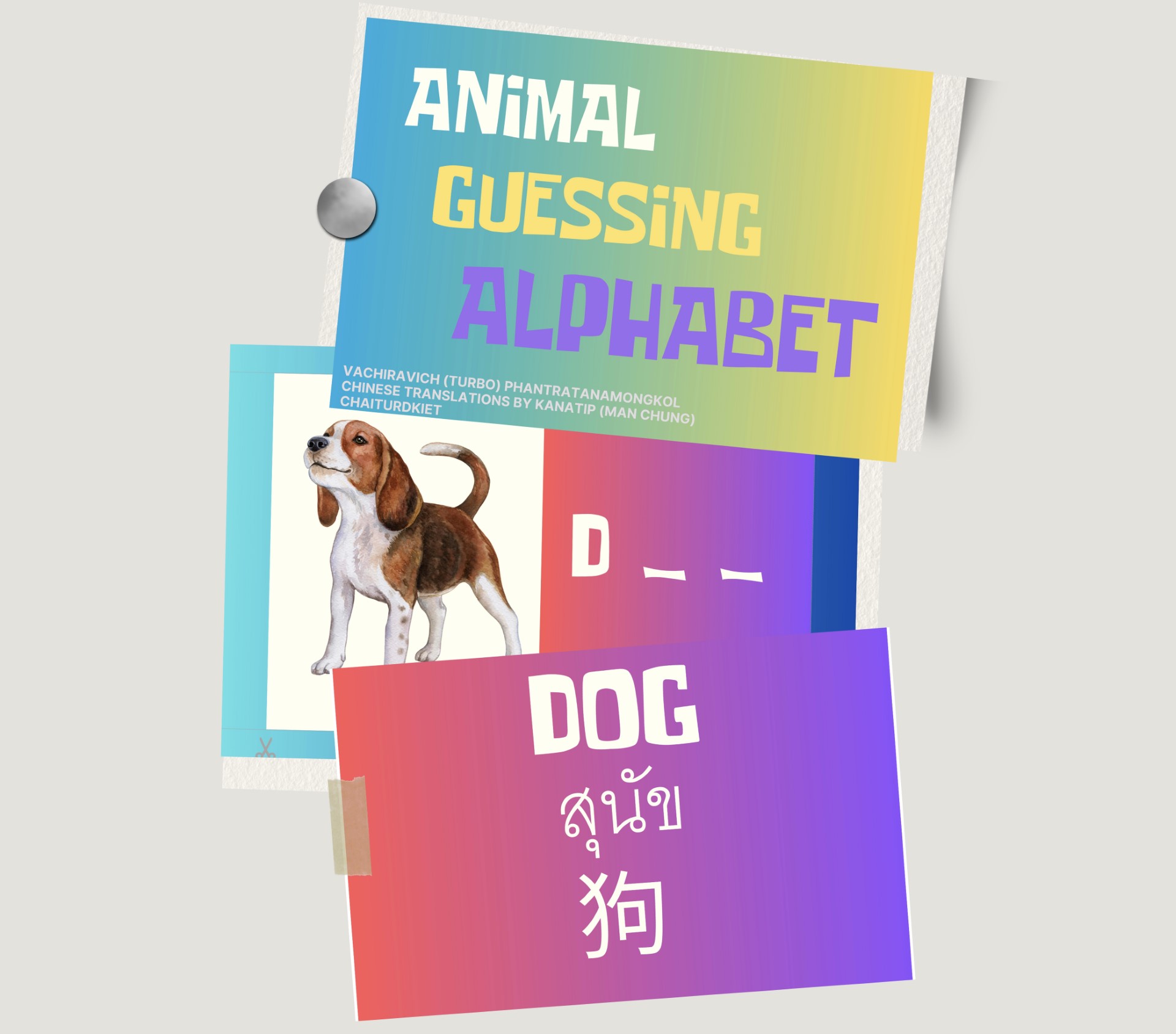 Animal Flashcards